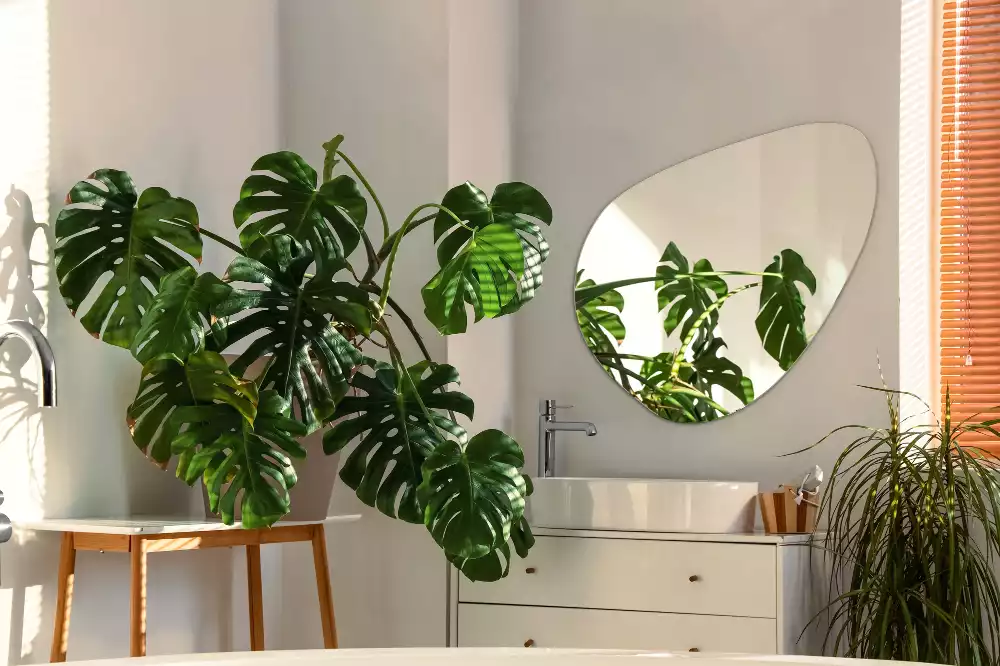 Organické zrkadlo ozdobné na stenu